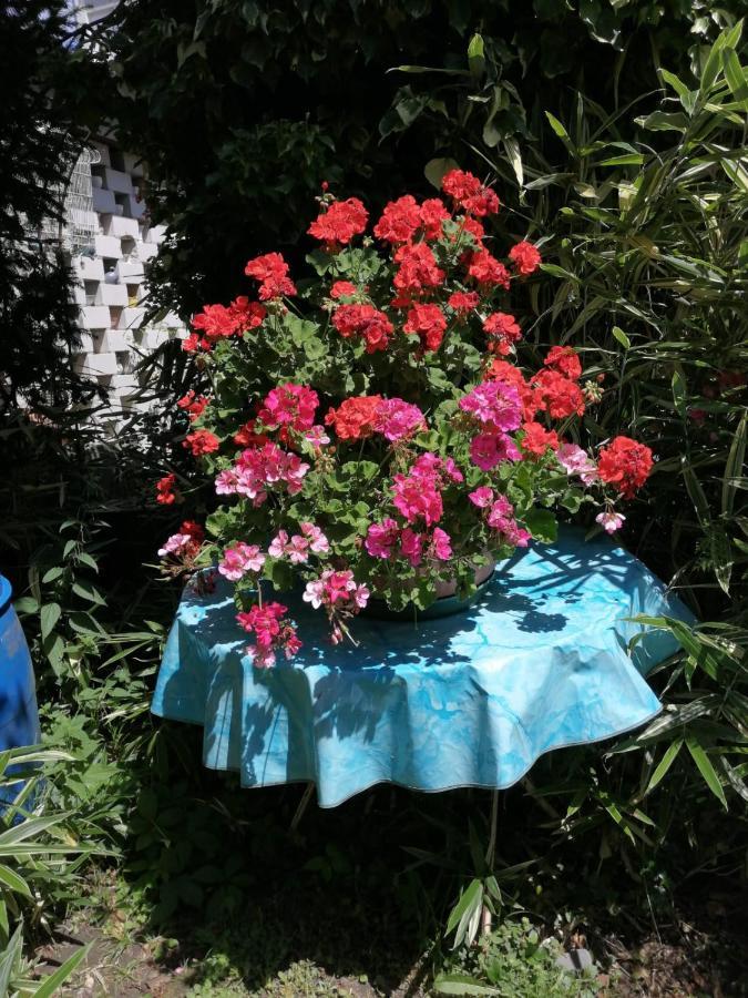Ferienwohnung Roth Am Naturschutzgebiet Bodensee Eriskircher Ried Buitenkant foto